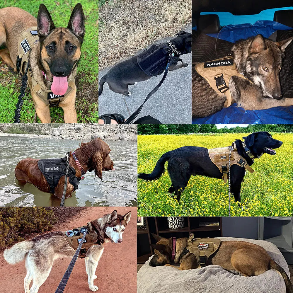 Tactical No Pull Dog Harness for Large Breeds for Training, Hiking and Walking