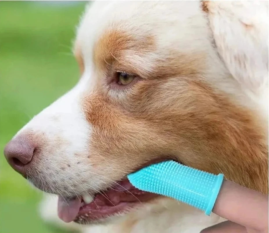 Dog Cleaning Toothbrush Finger