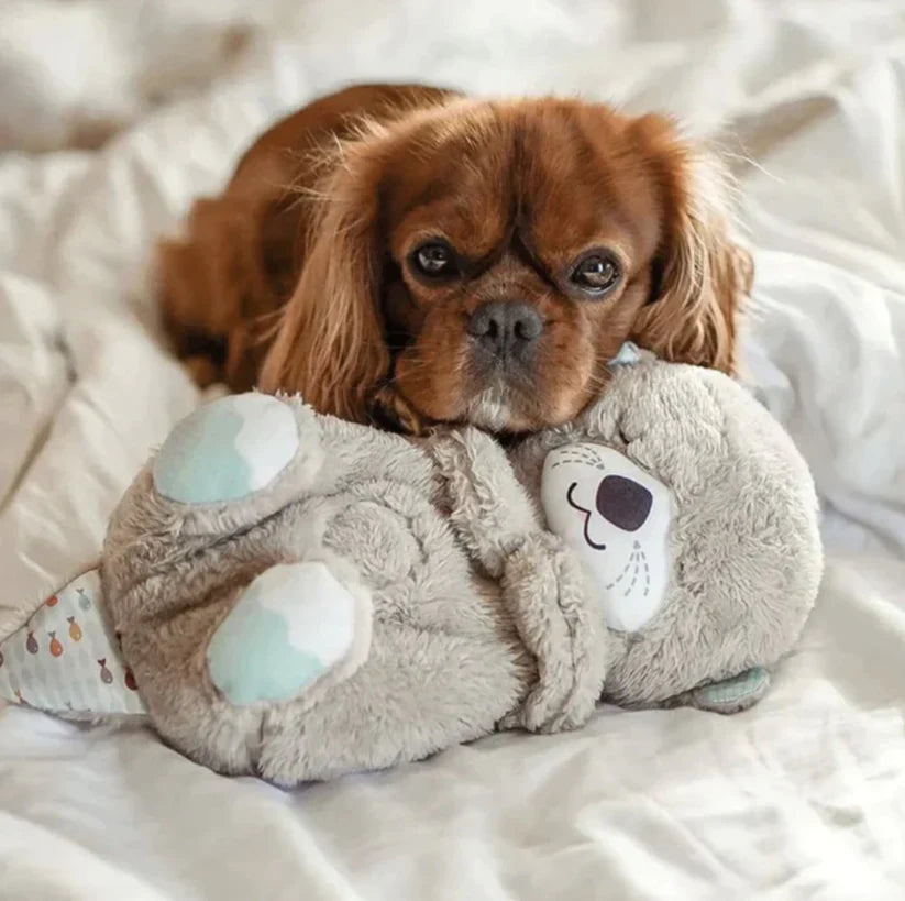 Fisher Price Sound Machine Soothe 'n Snuggle Otter toy for your PuPPy
