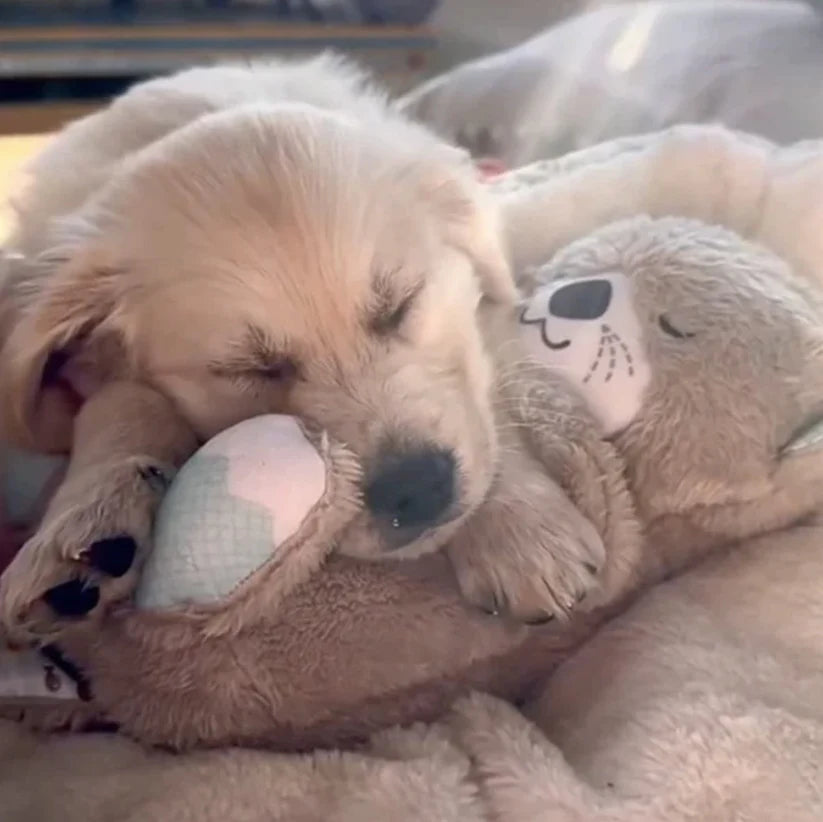 Fisher Price Sound Machine Soothe 'n Snuggle Otter toy for your dog