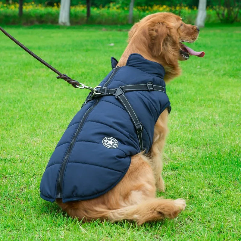 Pet Jacket, Blue Dog Coat Harness Winter Warm Vest Jacket Waterproof Cotton golden retriever | Pet Jacket, Dog Coat Harness Winter Warm Vest Jacket Waterproof Cotton| thunder coats for dogs | rain coats for dogs | dog coats for winter | winter coats for dogs | soft coated wheaten dog | flat coated retriever dog | har vest | dogs harness | dog life jacket | Pet winter apparel | Dog winter clothing | Waterproof dog vest | Reflective dog harness | Cold weather dog gear |