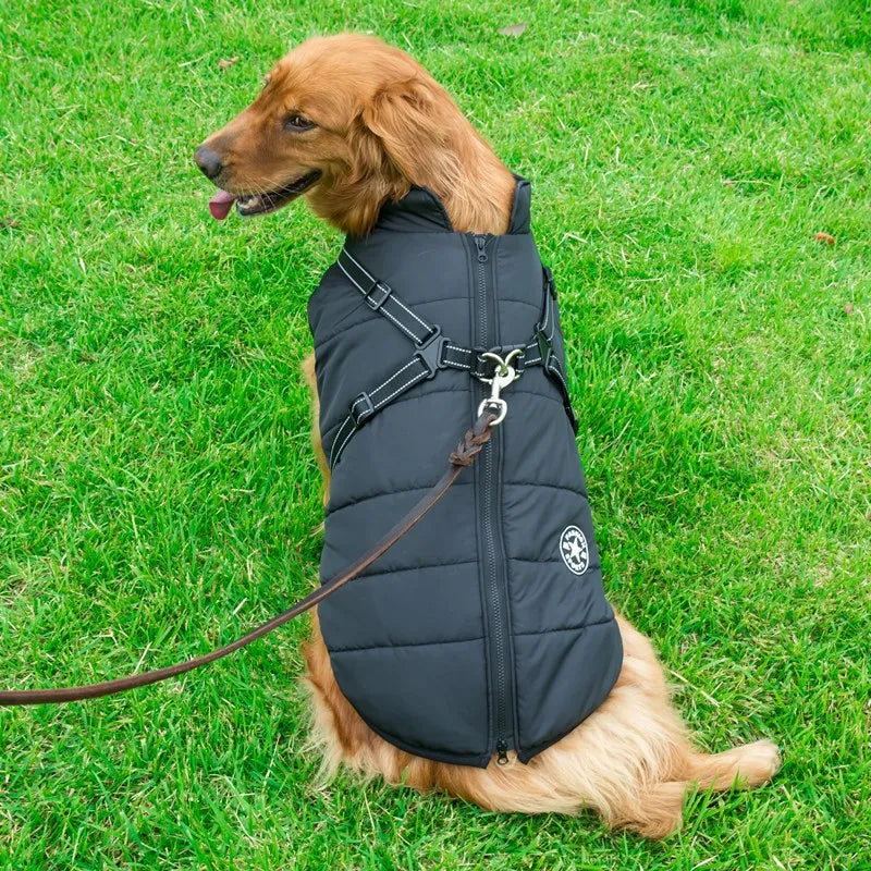 Pet Jacket, Dog Coat Harness Winter Warm Vest Jacket Waterproof Cotton golden retriever | | Dog raincoat | Dog rain coat | Warm dog jacket | Winter pet protection | Fleece-lined dog jacket | Adjustable dog harness | Dog outdoor gear | Windproof dog coat | Dog safety jacket | High collar dog vest | Dog walking jacket | Thermal dog coat |Snowproof dog coat |Cozy dog apparel |Dog winter wardrobe