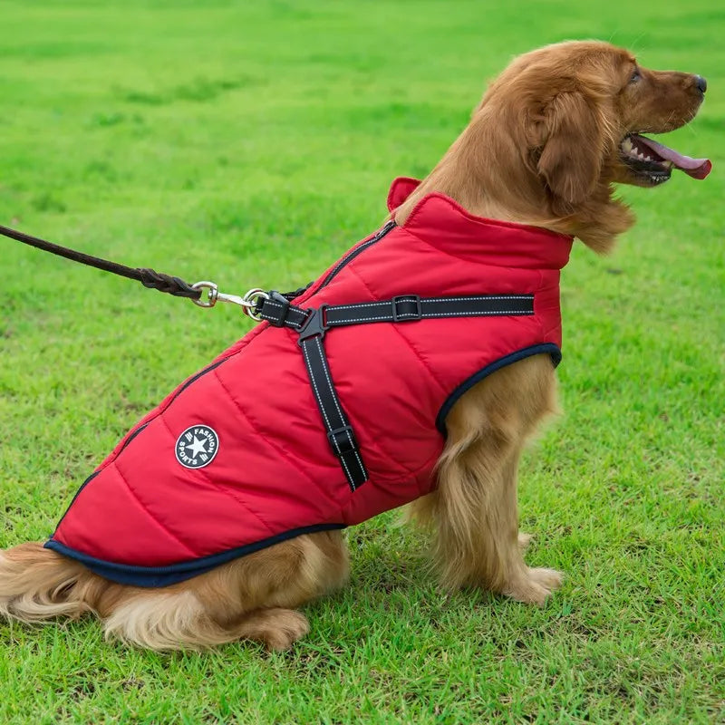 Pet Jacket, red Dog Coat Harness Winter Warm Vest Jacket Waterproof Cotton golden retriever | Pet Jacket, Dog Coat Harness Winter Warm Vest Jacket Waterproof Cotton| thunder coats for dogs | rain coats for dogs | dog coats for winter | winter coats for dogs | soft coated wheaten dog | flat coated retriever dog | har vest | dogs harness | dog life jacket | Pet winter apparel | Dog winter clothing | Waterproof dog vest | Reflective dog harness | Cold weather dog gear |