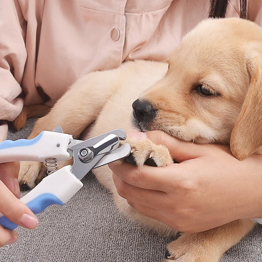 Paws Dog Nail Clipper