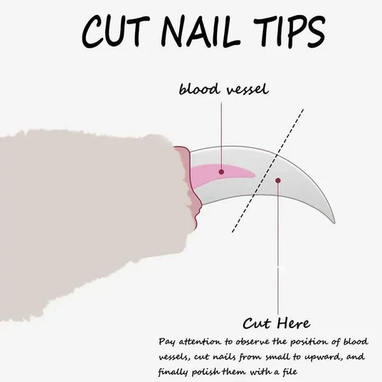 Paws Dog Nail Clipper