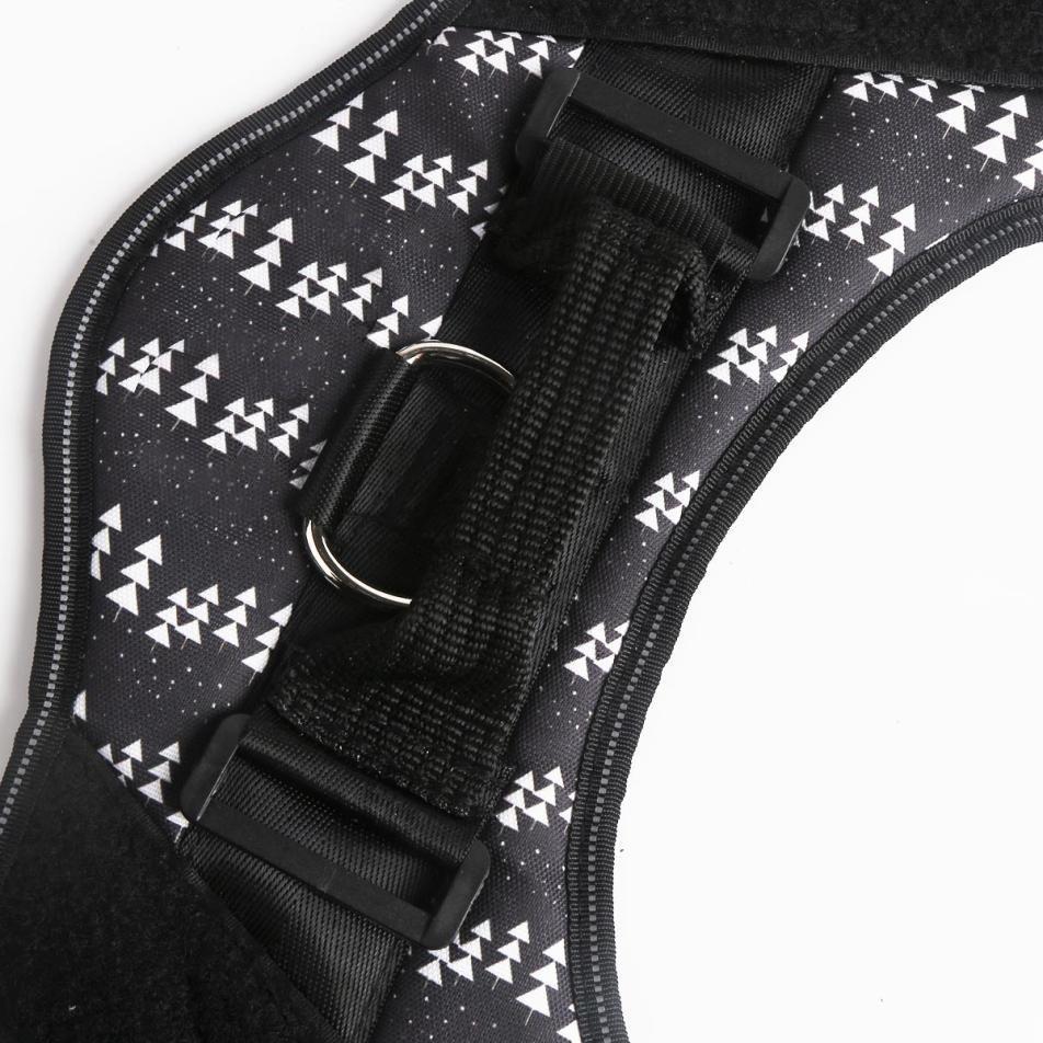 Personalized NO PULL Dog Harness - Custom Name & Phone Number, Heavy Duty Pet Vest to Prevent Tugging, Pulling, or Choking, Ideal for Training & Walking