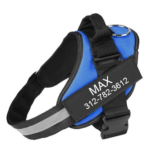 Personalized NO PULL Dog Harness - Custom Name & Phone Number, Heavy Duty Pet Vest to Prevent Tugging, Pulling, or Choking, Ideal for Training & Walking