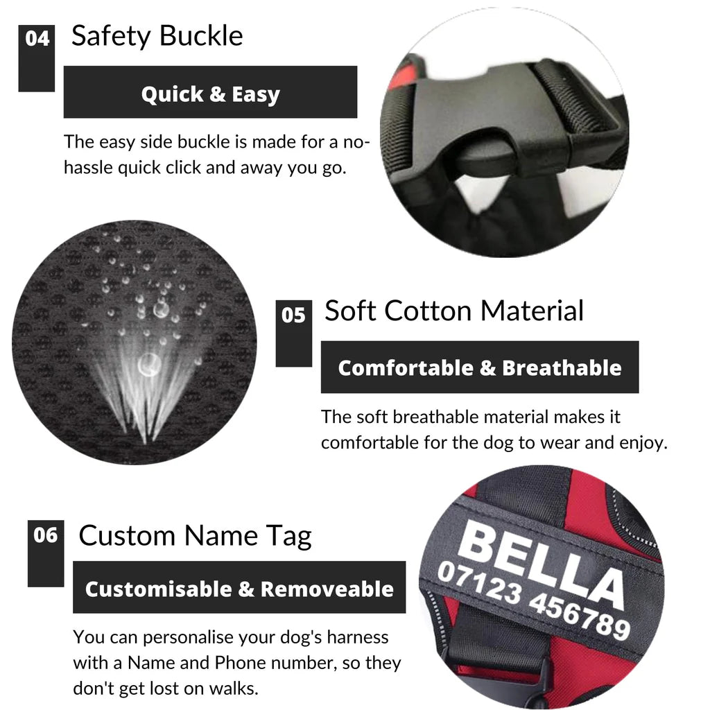 Personalized NO PULL Dog Harness - Custom Name & Phone Number, Heavy Duty Pet Vest to Prevent Tugging, Pulling, or Choking, Ideal for Training & Walking