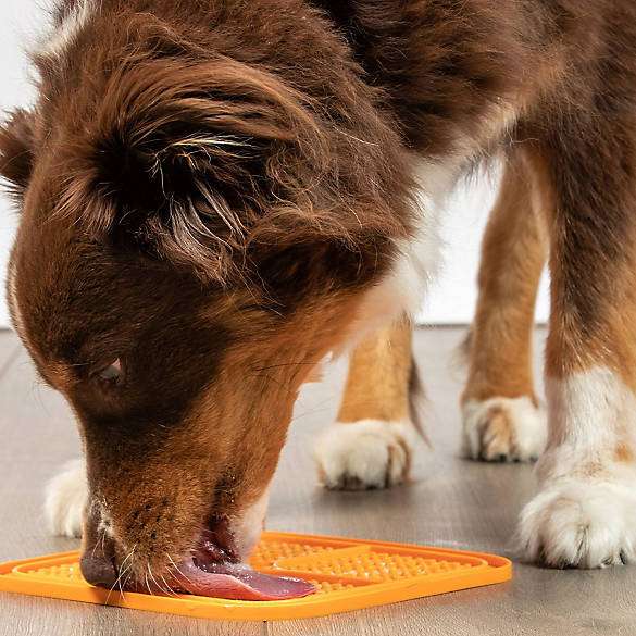 Licky Pad™ - Slow Feeder - Puptex Store
