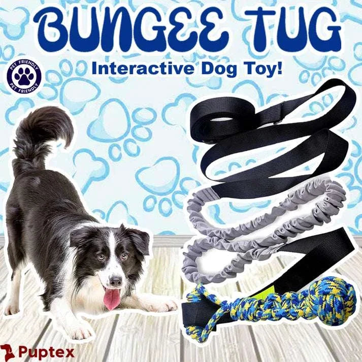 Bungee Tug™ - Interactive Dog Toy - Puptex Store