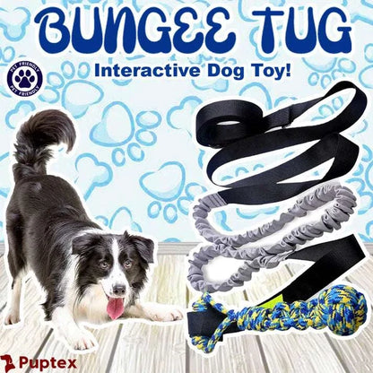 Bungee Tug™ - Interactive Dog Toy - Puptex Store