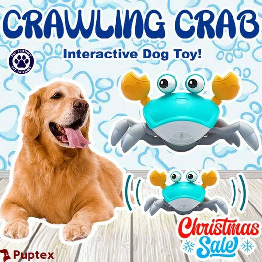 Crawling Crab™ - Interactive Dog Toy