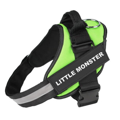 Personalized NO PULL Dog Harness - Custom Name & Phone Number, Heavy Duty Pet Vest to Prevent Tugging, Pulling, or Choking, Ideal for Training & Walking Green