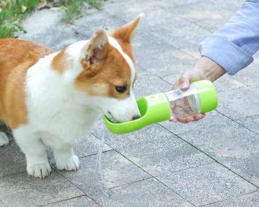 Portable Dog Water and Food Bottles Bowls drink water