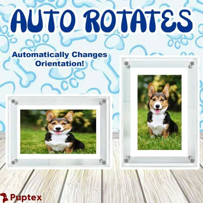 Pup Frame™ - Digital Memory Frame - Puptex Store