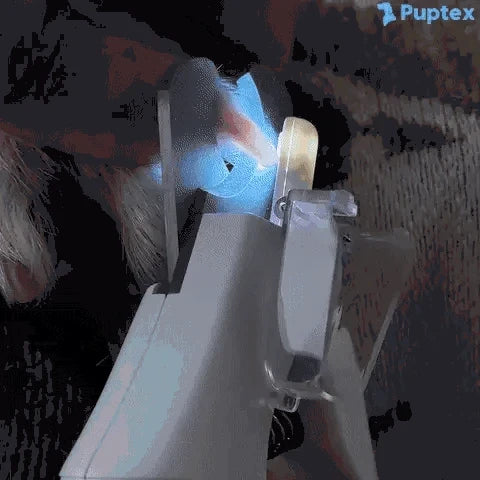 PawPro™ 2-in-1 Pet Nail Grinder & Clipper - Puptex Store