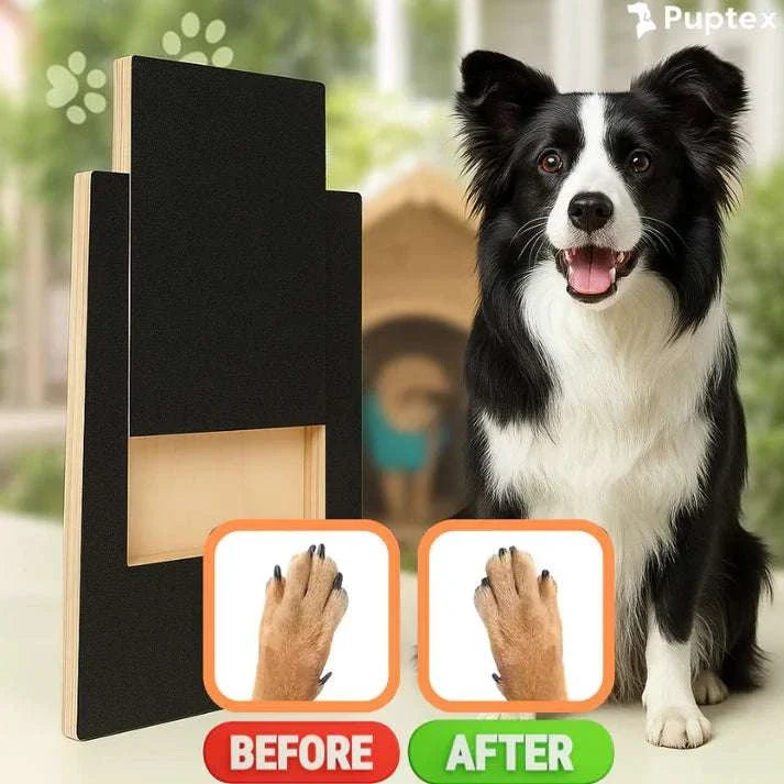SmoothPaws™ Nail Filing Board - Puptex Store