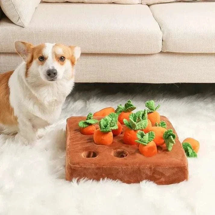 Carrot Patch™ - Interactive Dog Toy - Puptex Store