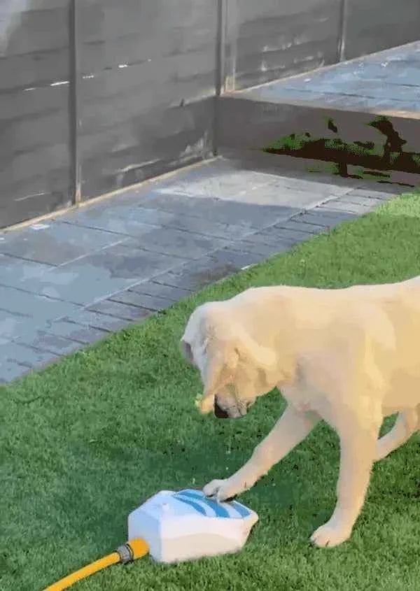 PuddlePaw™ - Interactive Dog Toy