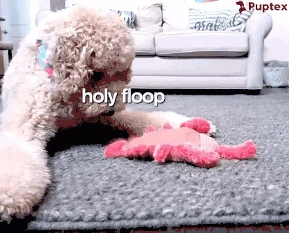 Lucky Lobster™ - Interactive Dog Toy - Puptex Store