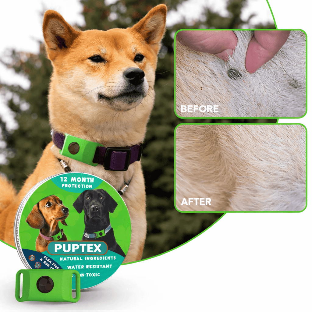 Puptex ™ 12 Months Flea and Tick Free - Puptex Store