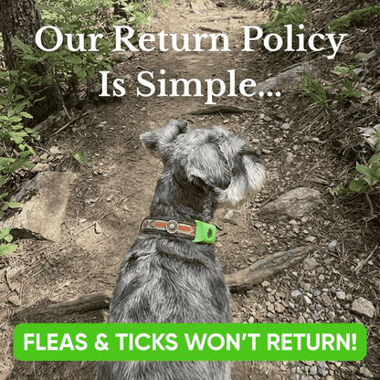 Puptex ™ 12 Months Flea and Tick Free - Puptex Store