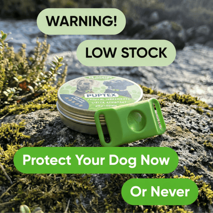Puptex ™ 12 Months Flea and Tick Free - Puptex Store
