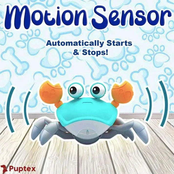Crawling Crab™ - Interactive Dog Toy